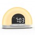 Smart Digital Sunrise Alarm Clock for Bedrooms - Heavy Sleepers' Wake Up Light with Dual Alarm and Snooze Functionality